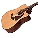 Takamine GD15CE-12 NAT-KIT-1 12-String Acoustic-Electric Guitar