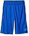 adidas Boys' Big Boys' Core Short, Collegiate Royal/Green, Large/14-16