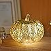 Romingo Mercury Glass Pumpkin Light with Timer for Halloween Pumpkin Decorations Fall and Thanksgiving Decor,Silver, 5.5 inches