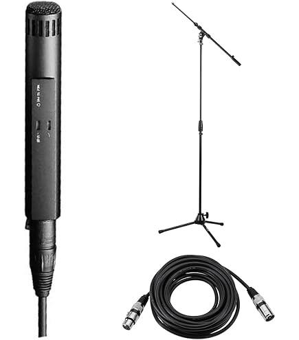 Amazon.com: MKH 50-P48 | Supercardioid condenser with small