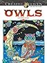 Creative Haven Owls Coloring Book (Adult Coloring)