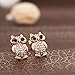 Charmed Craft Rose Gold Plated Cute Large Owl Wisdom Clear Crystal Stud Earrings Women Jewelry