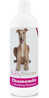 best shampoo for greyhounds