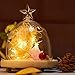 Excelvan Safe Low Voltage 10m/33ft 100 LED String Lights Copper Wire, USB Operated Waterproof Decorative Fairy Starry Lights for Christmas, Wedding, Home, Patio, Garden and Party, Holiday, Warm White