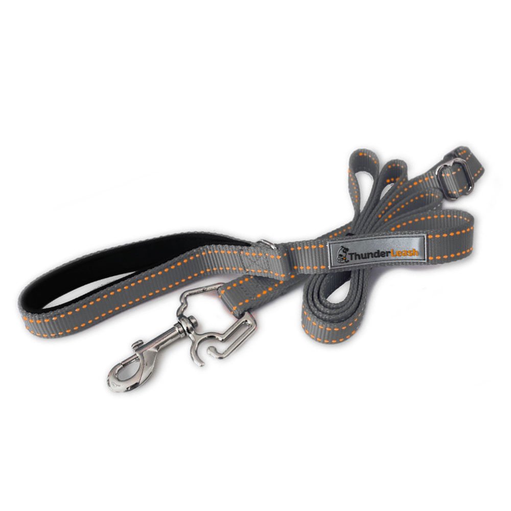 ThunderLeash No-Pull Dog Leash (Small (12 to 25 lbs), Grey)
