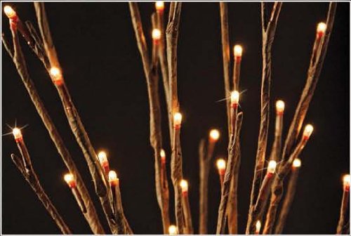 The Light Garden WLWB6020-B Battery Powered Willow Branch Accent, 60 LED Bulbs
