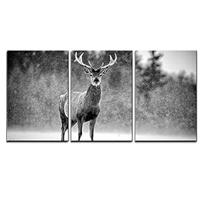 Stag In Winter Dream - 3 Panel Canvas Art
