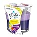 Glade 2in1 Jar Candle Air Freshener, Jubilant Rose & Lavender & Peach Blossom, 2 Candles, 6.8 oz
