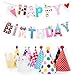 Fun and Colorful Gold Foiled Happy Birthday Banner Flags and Kids Party Hats and Crowns Set – Small-sized Party Decoration Supplies