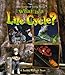 What Is a Life Cycle? (Science of Living Things)
