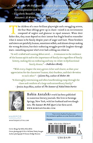 The Summer We Fell Apart