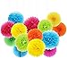 ZJHAI Set of 20 Rainbow Color Paper Pom Poms and Paper Folding Fans, 5 Colors, for Decorating Party, Shop or Wedding