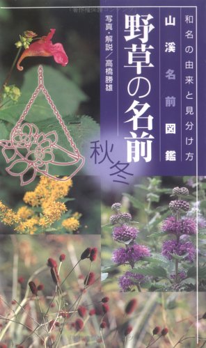 野草の名前秋 冬 和名の由来と見分け方 山渓名前図鑑 単行本 Name Autumn Winter Of Wild Grass And The Origin Of The Japanese Name Identifying Yamakei Name Picture Book Paperback Amazon Com Books
