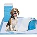 Petphabet the Best 20 Count of Pads Ultra-Absorbent 28 by 34 Inches Dog Training Pads