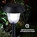 SANSUN Solar LED Path Light Outdoor Garden Lawn Landscape Waterproof Solar Stake Light (Set of 6)