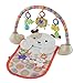 Fisher-Price Cuddle 'n Play Gym, My Little Snugapuppy