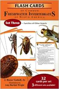 Amazon Com Flash Cards Of Common Freshwater Invertebrates