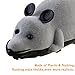 Forum Novelties Rat Toy, PeachFYE RC Funny Wireless Electronic Remote Control Mouse Rat Pet Toy for Cats Dogs Pets Kids Novelty Gift