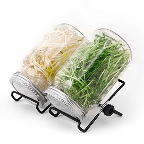 Buy NFUSPR Seed Sprouting Jar Kit32 OZ Wide Mouth Mason Sprouting Jar