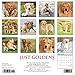 Just Goldens 2020 Wall Calendar (Dog Breed Calendar)