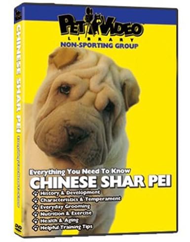 shar pei puppy training