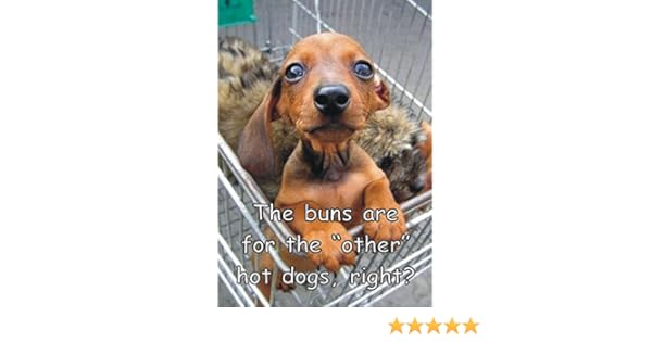 dachshund pooping in house