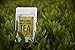 First Harvest Ceremonial Grade Matcha Green Tea Powder - Organic Japanese Matcha - Get More Natural Energy - Green Tea Lattes - Smoothies - Stimulate Metabolism - First Harvest Tea