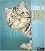 Gueules de chats (Ancien prix Editeur: 13 Euros ) by 