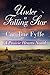 Under a Falling Star (A Prairie Hearts Novel Book 4) by 