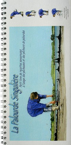 La  palourde singulière