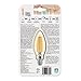 Philips LED Indoor/Outdoor Classic Amber Glass B11 Dimmable Filament Light Bulb: 300-Lumen, 2000 Kelvin, 4.5-Watt (40-Watt Equivalent), E12 Base, Amber, 1-Pack