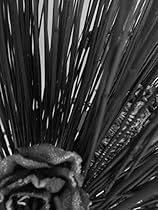 Re-burning (line on blue) (Italian Edition)