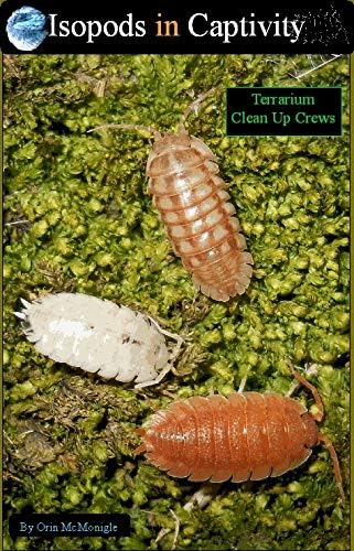 Isopods in Captivity: Terrarium Clean-up Crews