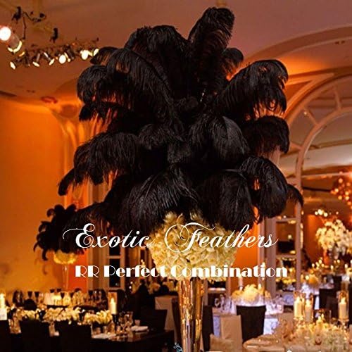 Special Sale 25 Pcs. Black Ostrich Feathers Wholesale Bulk 13/16" Long Deluxe Feathers