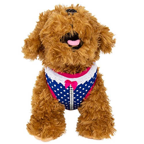 CueCue Pet Studded Polka Dot Choke Free Harness with Leash, Small, Pink/Blue
