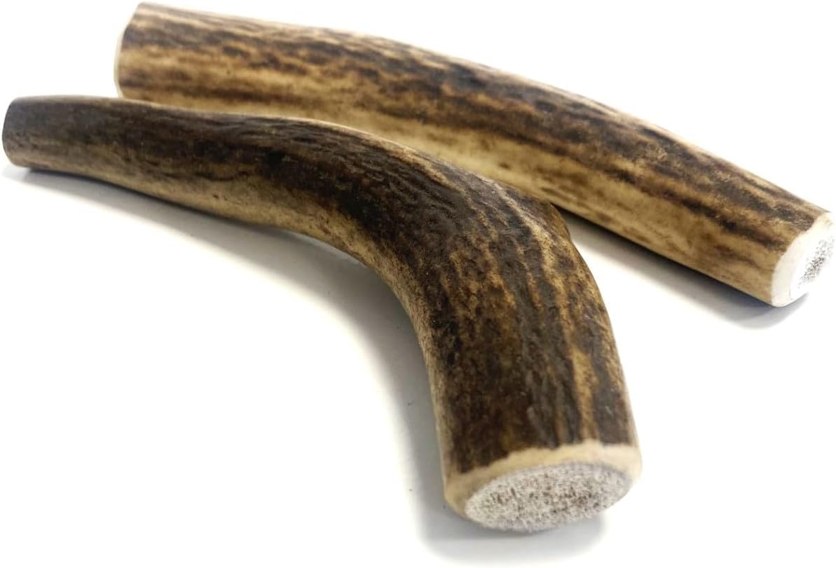 Antler Dog Chews Small x 1 (Weight Small 50-74g), (Size May Vary) Premium Quality Natural Dog Chew Treat Hypo-Allergenic Dog Chew SHC