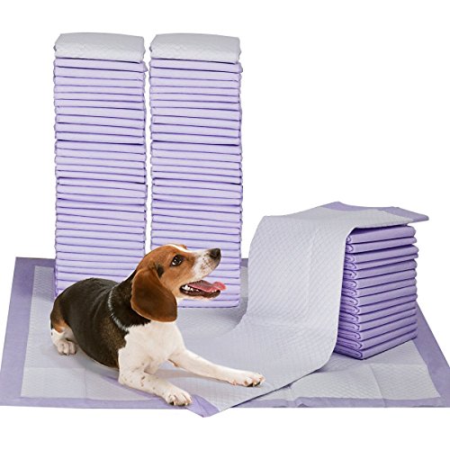 Petphabet 100 Pack Dog Pee Pads 23 by 24 Inches,Lavender Scented Dog Training Pads with Attractant - //medicalbooks.filipinodoctors.org