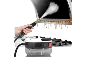 BAUSATZ Steam Cleaner for Home Use Handheld Steamer for Car Detailing Portable Steamer for Cleaning Hand Held Steamer 2500W (U.S. Regulations)