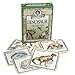 Professor Noggin's Dinosaurs - A Educational Trivia Based Card Game For Kids - Features 30 Illustrated Cards Including 180 Questions and a 3-Number Die (Ages 7+)