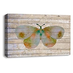 Colorful Butterfly Painting Artwork for Home Framed