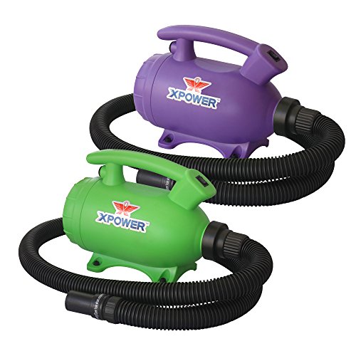 XPOWER B-55 - 2 HP Portable Home Dog Dryer Special 2-Pack (Green & Purple)