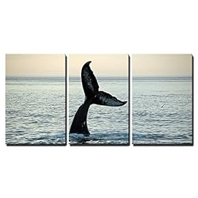 Fin of a Humpback Whale x3 Panels