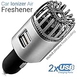 TwinkleBirds Car Air Purifier Ionizer - 12V Plug-in Car Air Freshener Ionic Deodorizer with 2.1 Amp Dual USB Charger - Smoke Smell, Pet and Food Odors, Allergens Eliminator for Car (Matte Silver)