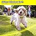 YHPOYLP Wireless Dog Fence Electric Pet Containment System, Safe Effective Adjustable Control Range 1600ft Tone/Vibration/Shock Design, Rechargeable & Waterproof Collar Receiver (Yellow)thumb 2