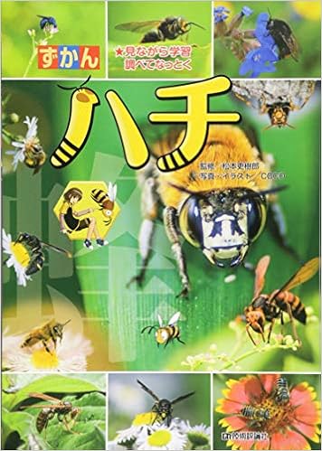ハチ ずかん 松本 吏樹郎 Coco Coco 本 通販 Amazon