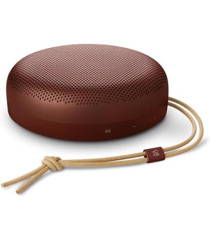 Amazon.com: Bang & Olufsen Beosound A1 3rd Gen Portable Waterproof
