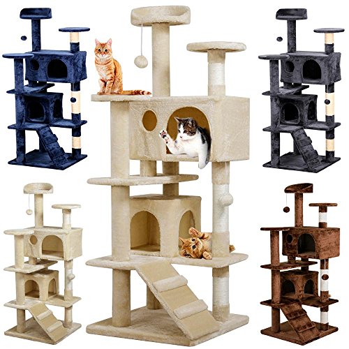 AmazonBasics Cat Tree with Condo The Cat Site