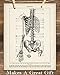 Medical Book Skeleton Torso - 11x14 Unframed Art Print - Great Gift For Nurse, Doctor and Medical Student and Home and Office Decor Under $15