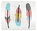 Sweet Jojo Designs Accent Floor Rug Bedroom Decor for Turquoise and Coral Feather Collection Kids Girls Bedding Set