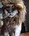 OaaXbbECco Lion Mane Wig for Cat Costume (Light Brown, Medium)
